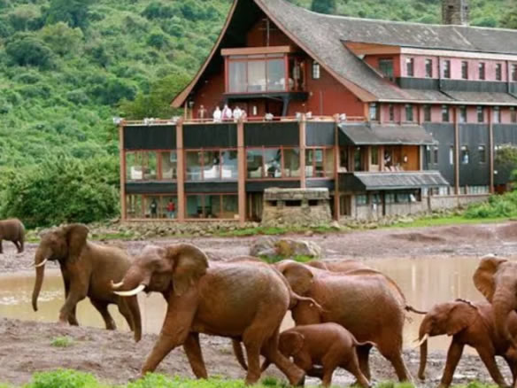 3 Days Aberdare National Park Safari