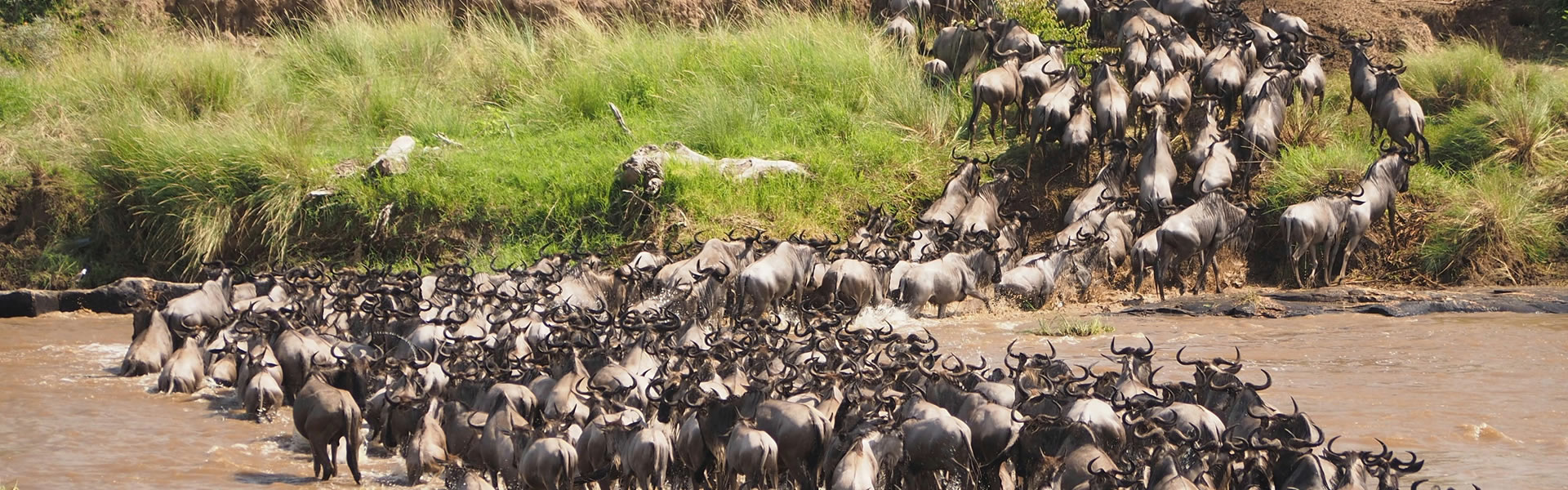 3 Days Masai Mara Safari