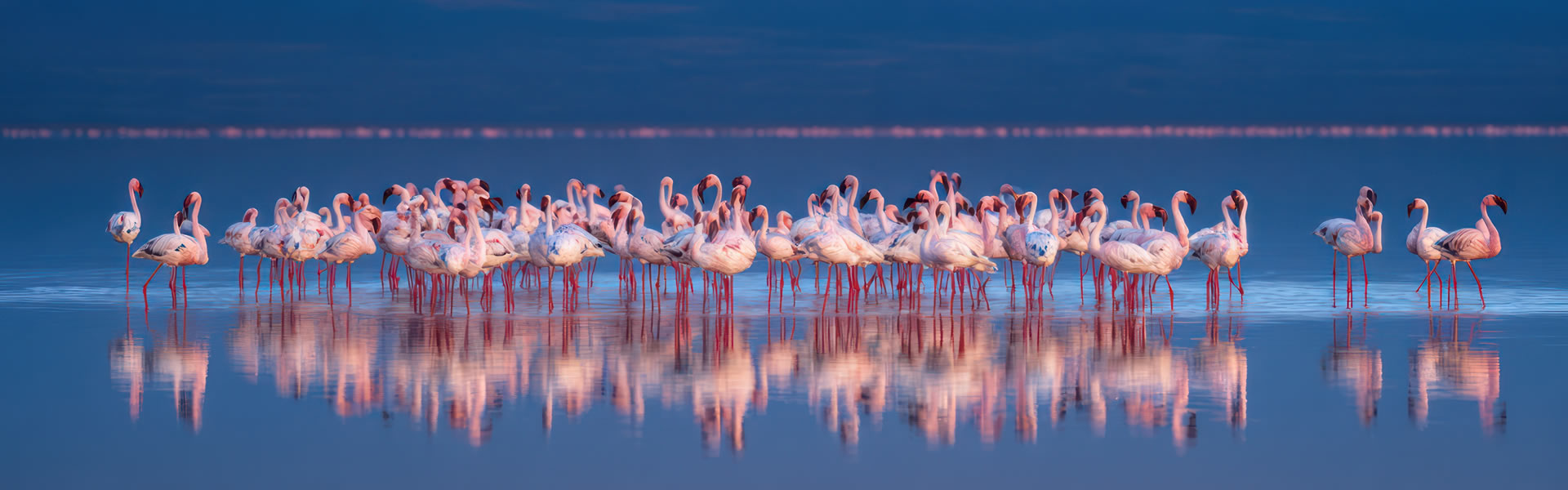 7 Days Nakuru Naivasha Amboseli Ngorongoro Serengeti