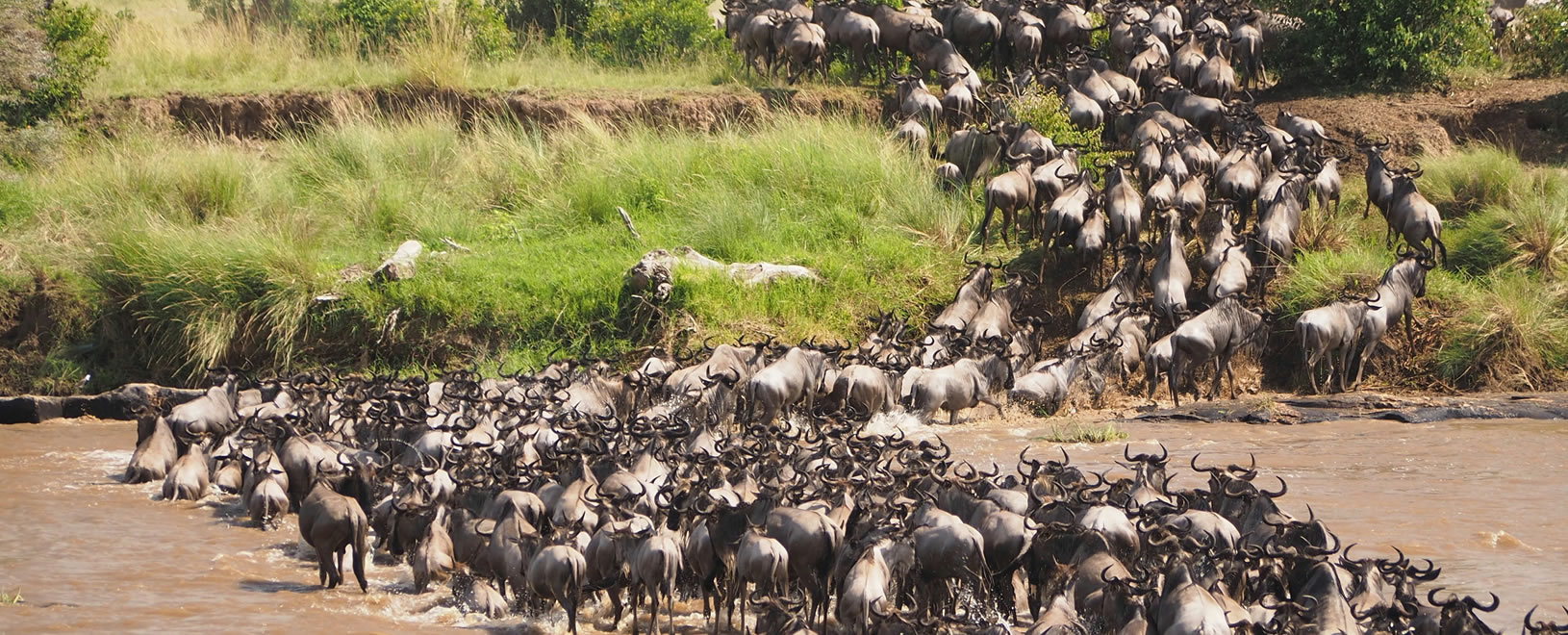 2 Days Masai Mara Safari