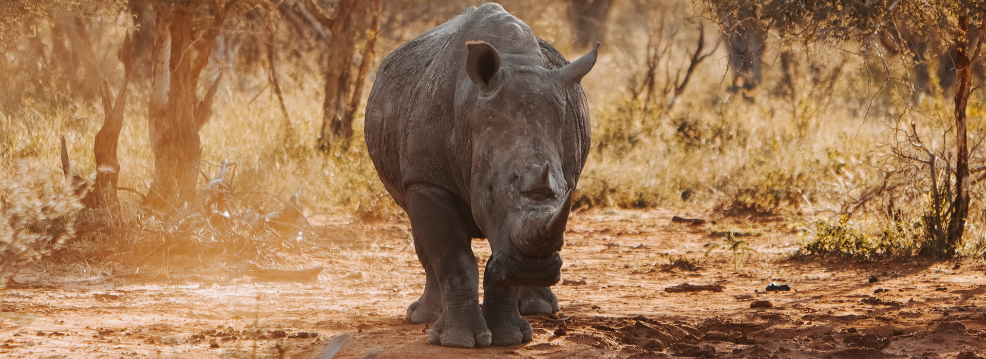 7 Days Safari Tsavo East - Taita Hills - Tsavo West - Nairobi