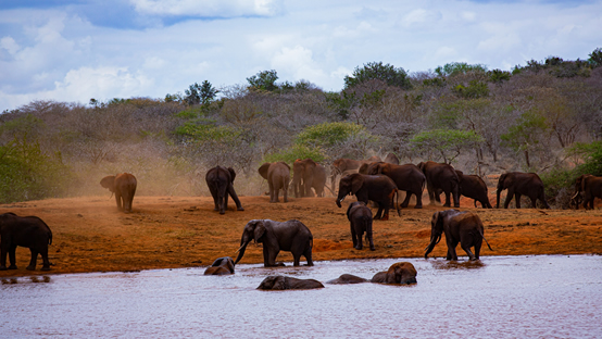 Tsavo National Park