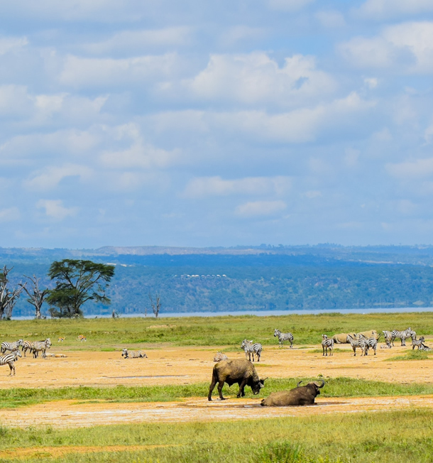 8_days_kenya_holiday_safari